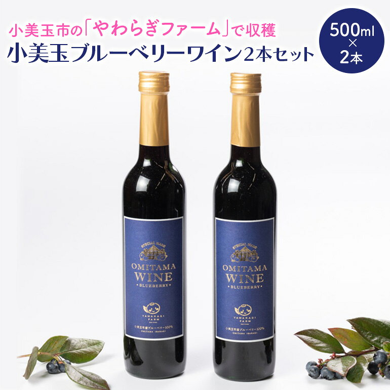 【ふるさと納税】小美玉ブルーベリーワイン2本セット ブルーベリー ワイン ブルーベリーワイン フルーツ 果物 ビタミンE アントシアニン ギフト 贈り物 茨城県産 プレゼント セット お酒 美味しい お祝い 9−F
