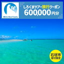 【ふるさと納税】【石垣市】しろくまツアーで利用可能なWEB旅行クーポン(60万円分） | 旅行 チケット 紙券 宿泊 宿泊券 宿 観光 クーポン ホテル 飛行機 交通費 観光施設 体験 トラベルクーポン 沖縄県 石垣市 石垣島 送料無料 人気 WB-14