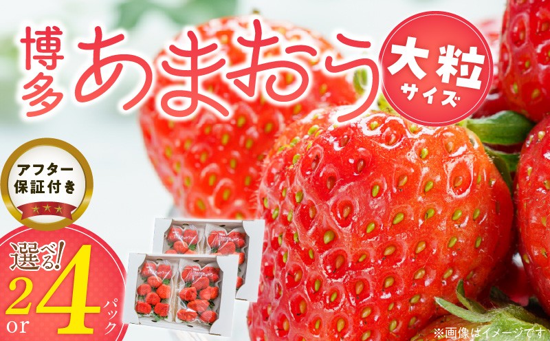 
                  福岡県産あまおういちご　約280g以上（大粒）【12月～2月発送】 _ いちご あまおう 約280g 以上 選べる 2パック 4パック 大粒 果物 フルーツ みずみずしい ジューシー 甘み 酸味 濃厚 ストロベリー パフェ ショートケーキ パンケーキ スムージー サンドイッチ ジャム お菓子作り お取り寄せ 福岡県 久留米市 送料無料 _Fi054-sku
                