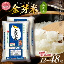 【ふるさと納税】金芽米 宮城県産 米 無洗米 令和6年 産 ひとめぼれ 4kg ( 2kg × 2袋 ) 3ヶ月 6ヶ月 12ヶ月 定期便 [ 宮城県 加美町 km00011-r6-4kg-te ] 米 お米 こめ コメ 精米 白米 玄米 きんめまい ヒトメボレ ロウカット km00011-r6