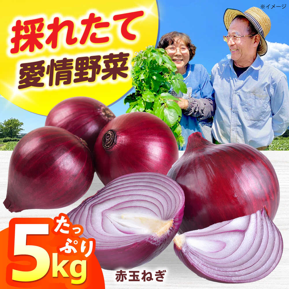 【ふるさと納税】新鮮！しゃきしゃき！ 赤玉ねぎ 5kg 野菜 やさい 新鮮 産地直送 旬 人気 お取り寄せ たまねぎ 玉ねぎ 赤玉ねぎ 赤たまねぎ あかたまねぎ 農作物 ご当地 料理 サラダ セット 人気 おすすめ 大阪府高槻市/高槻あぐり[AOCS023]