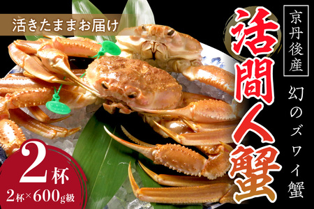 カニ ズワイガニ ／【幻のズワイ蟹】　京丹後産　活間人蟹（中）　鮮度抜群、活きたままお届け！！ 600g級×2杯 カニ 蟹 ズワイガニ ズワイ蟹 ブランド蟹 間人蟹 間人ガニ 活き間人ガニ 活間人蟹 カニ味噌 蟹味噌タグ付き