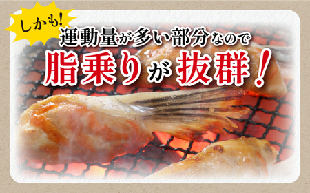 エンペラーサーモンの希少部位！ 1kg（約15枚入） 腹ビレ肉 通称「グリ」_T005-1182