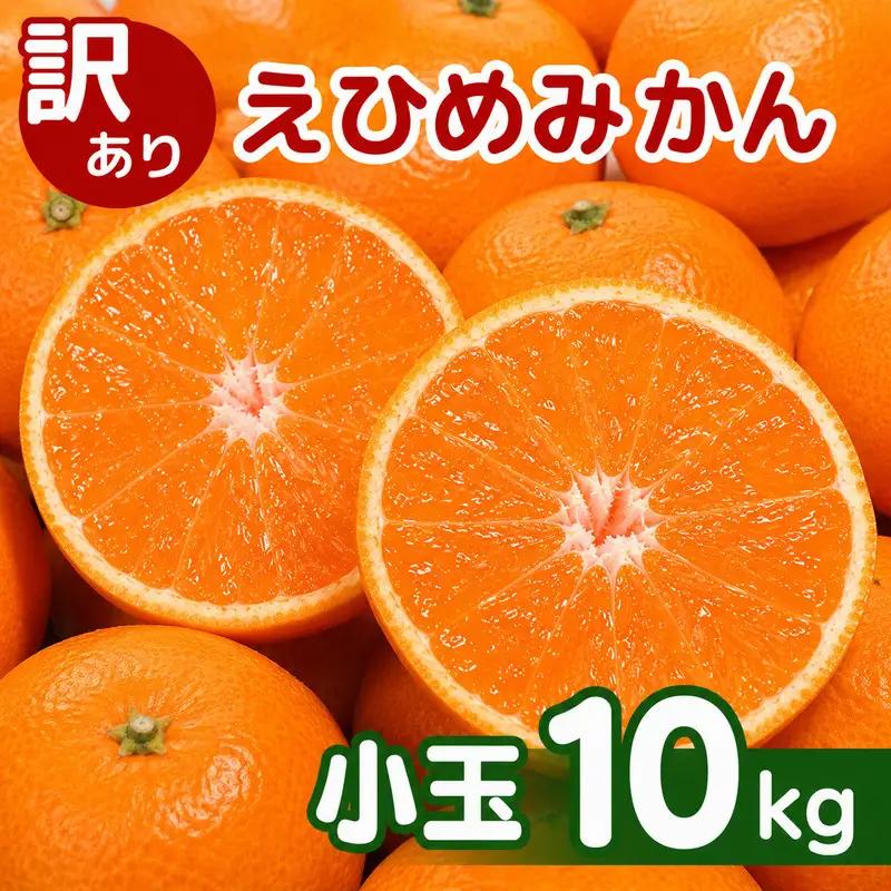 【先行予約】訳あり 愛媛みかん 小玉 10kg 傷み補償 500g 清家ばんかんビレッジ