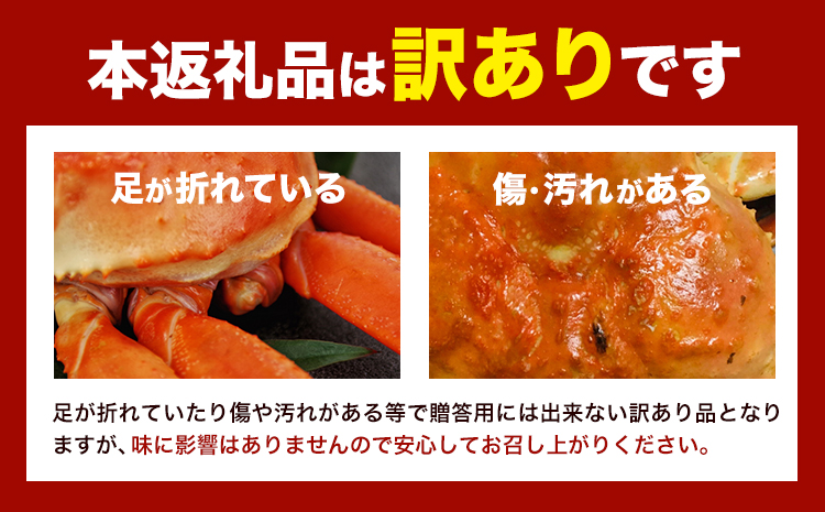 かに 姿 訳あり 紅ズワイガニ 1kg ボイル済み冷蔵《2024年11月上旬-2025年4月中旬頃出荷》お魚センターみくりや 鳥取県 八頭町 蟹 かに カニ 鍋 紅ズワイガニ ズワイ蟹 ボイル 送料無