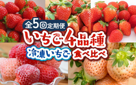 【2026年発送分 先行予約】【全5回定期便】佐賀県産 いちご4品種（いちごさん・さがほのか・よつぼし・淡雪）と冷凍いちご食べ比べ / 佐賀県 / 岸川農園 [41ASAG039]