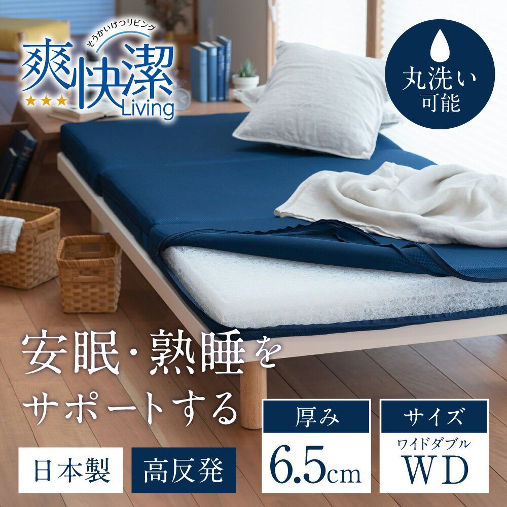 【ふるさと納税】高反発寝具ブレスエアー?製敷布団「ベーシック」ワイドダブルサイズ 近江化成工業株式会社 滋賀県 東近江市 AG11 マットレス 敷き布団 洗える 蒸れない 通気性 体圧分散 寝返り 腰痛対策 睡眠 快眠