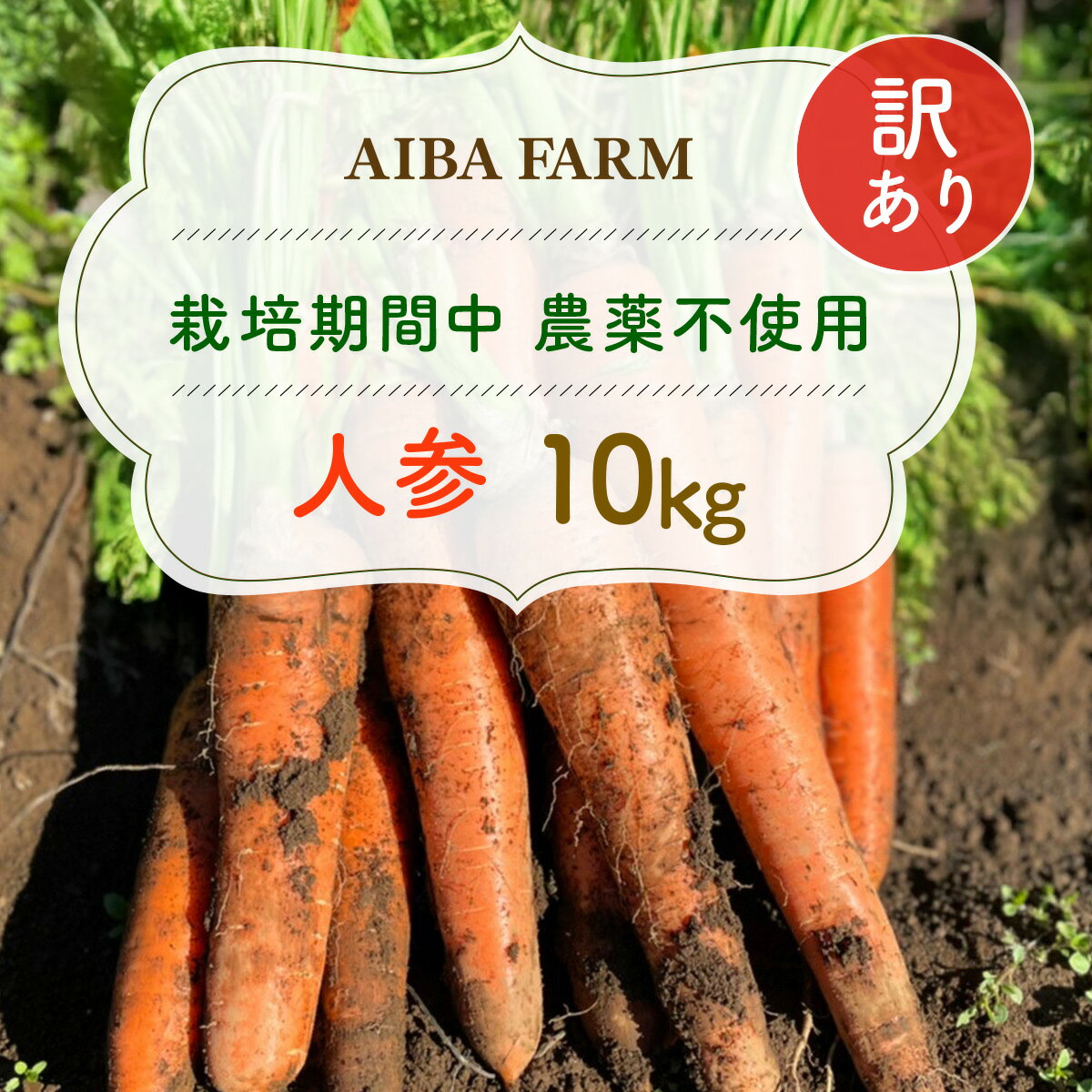 【ふるさと納税】【12月～2月発送】【栽培期間中農薬不使用】訳あり人参10kg AIBA FARM　B品 / 野菜 にんじん 人参 ニンジン 特産 甘い 訳あり 不揃い B級 organic フードロス 千葉県 富里市 TML007