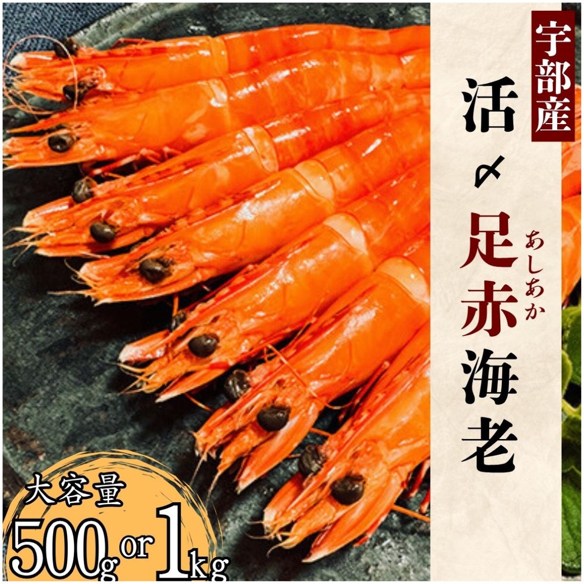 【ふるさと納税】＼選べる内容量／【活き〆】冷凍 足赤えび 500g～1kg | えび エビ 海老 足赤えび 足赤エビ 足赤海老 クマエビ 海鮮 冷凍 急速冷凍 宇部産 茹でえび エビフライ 塩焼 天ぷら お鍋 鮮度抜群 海の幸 簡単調理 プリプリ食感 山口県 宇部市
