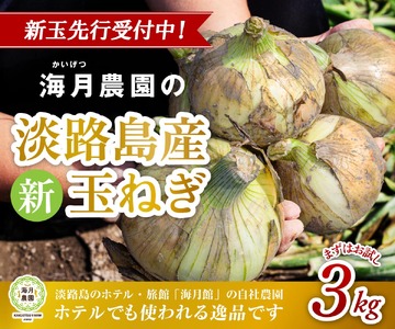 【予約販売】海月館 自社農場栽培！淡路島産 新玉ねぎ 3kg