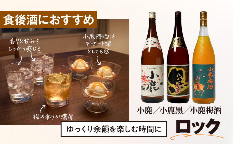 【全3回定期便】焼酎＆梅酒 1800ml×3本セット　KN148-T01