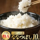 【ふるさと納税】米 令和5年 JA新すながわ産 ななつぼし10kg [ホクレン商事 北海道 砂川市 12260387]