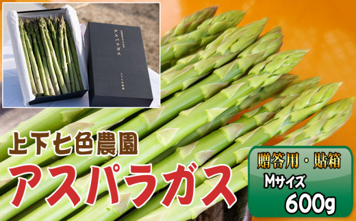 No.1090 上下七色農園贈答用アスパラガス　Ｍサイズ　貼箱（600g） ／ 野菜 新鮮 柔らか ジューシー お中元 贈り物 ご進物 広島県 特産品