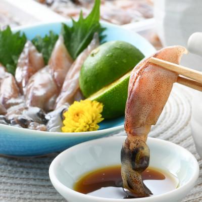 ふるさと納税 越前町 【越前海岸・美味直送シリーズ】ホタルイカ(刺身・しゃぶしゃぶ用)