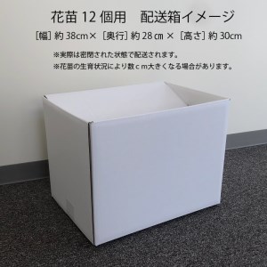 【5月下旬より順次発送】ガーデニング用花苗 マリーゴールド（黄色6ポット・オレンジ6ポット）（入金期限：2025.5.20）