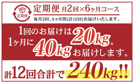 【月2回×6ヵ月定期便】薪 20kg月2回×6ヵ月 計6回お届け 火持ちがする 広葉樹 キャンプ[OBT009]