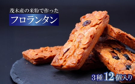 フロランタン 茂木町産米粉100% 12個 セット | ﾌﾛﾗﾝﾀﾝ ﾌﾛﾗﾝﾀﾝ ﾌﾛﾗﾝﾀﾝ ﾌﾛﾗﾝﾀﾝ ﾌﾛﾗﾝﾀﾝ