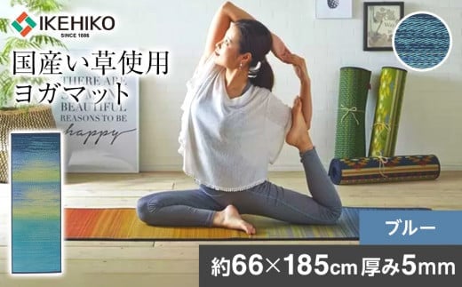 
畳ヨガＥＣＯ　ｓｋｙｓｅａ　（６６×１８５）（ブルー）　AA065
