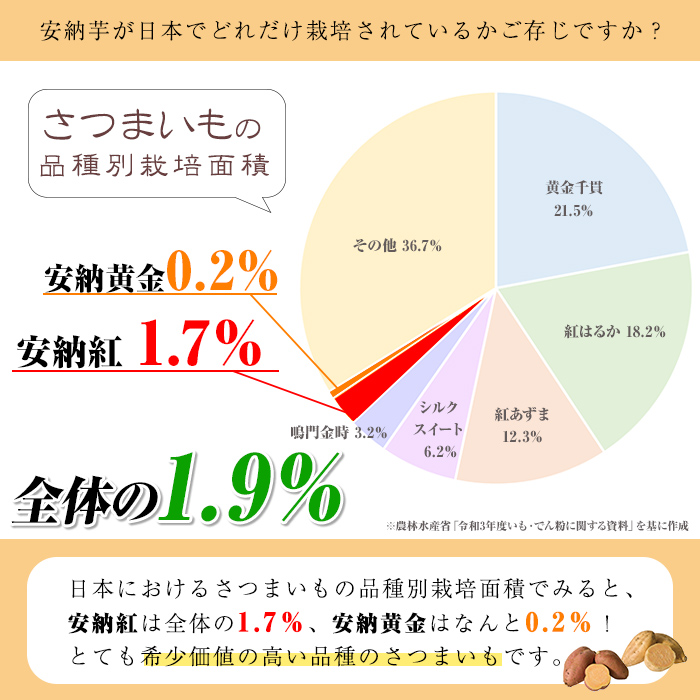 n481 先行予約受付中！10月下旬頃から11月初旬頃より順次発送予定 種子島産 安納芋＜紅＞(11kg) 国産 安納芋 紅 種子島 芋 イモ さつま芋 安納いも 野菜 焼き芋 焼芋 【うずえ屋】