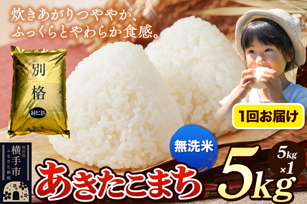 《令和7年産》 米 あきたこまち 5kg 【無洗米】 秋田県産