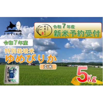 ふるさと納税 鷹栖町 令和7年産新米予約 たかすのお米 特別栽培米 ゆめぴりか 5kg(玄米)