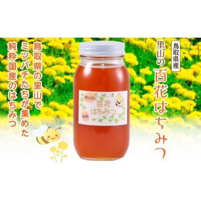 ふるさと納税 鳥取市 里山の百花蜂蜜