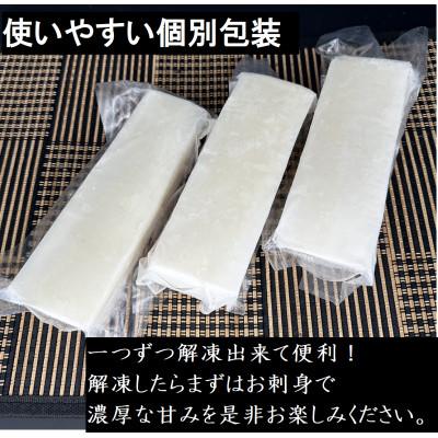 ふるさと納税 須崎市 タルイカ　1kg |  | 01