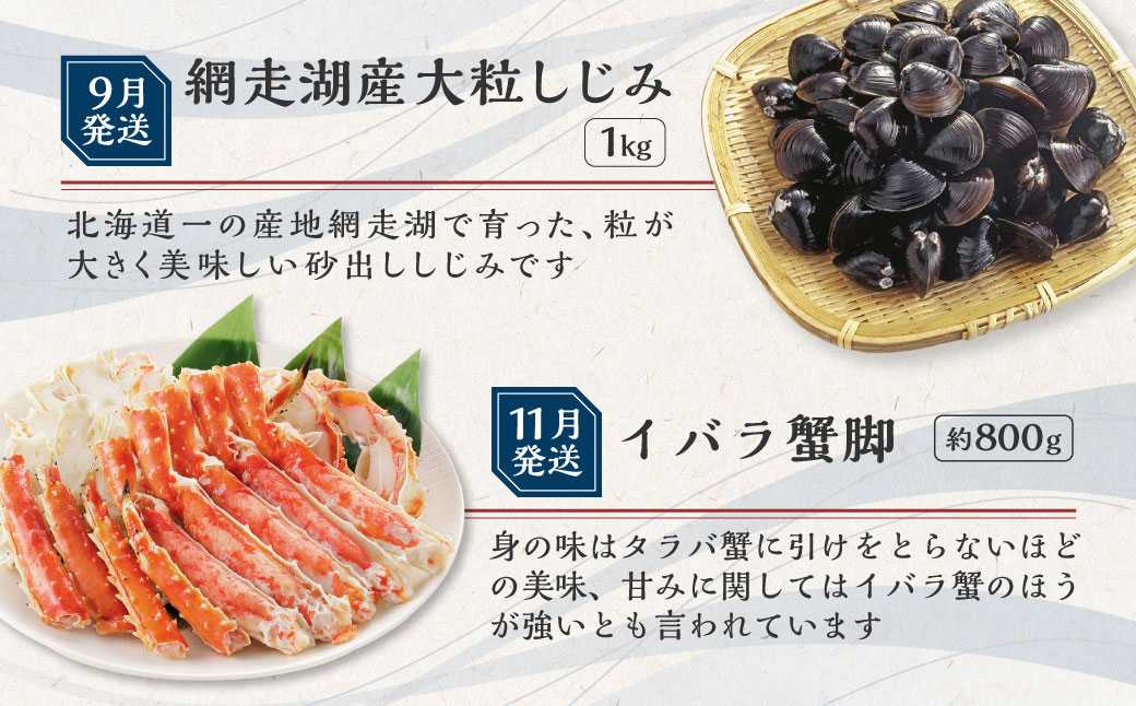 【定期便】オホーツク海鮮グルメ定期便 6回 ほたて 帆立 ズワイ タラバ 蟹 カニ イカ ほっけ シジミ しじみ 松前漬け 北海道 網走 ※着日指定不可 ※離島への配送不可  ABAO068