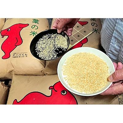 ふるさと納税 銚子市 千葉県産ふさこがね10kg |  | 02