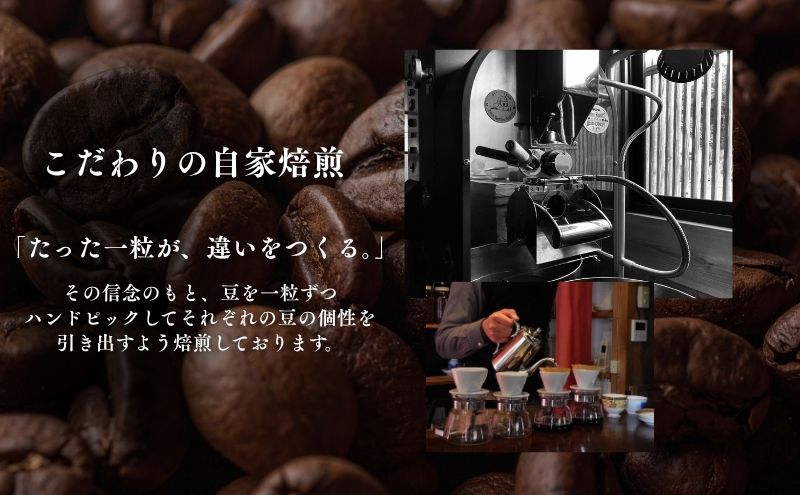 自家焙煎コーヒー豆3種セット【100g×3袋】（豆）