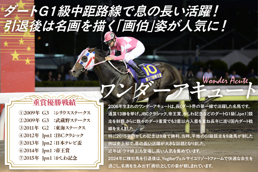 【ワンダーアキュート画伯】厚手トートバッグ BRTV213_イメージ3