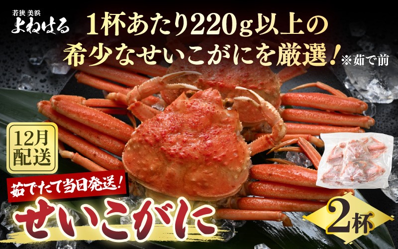 
                  【先行予約】天然 せいこがに × 2杯 希少な220g以上のサイズを厳選！ 茹でたその日に発送！【2026年12月上旬以降順次発送予定】 [m17-x005_12]
                