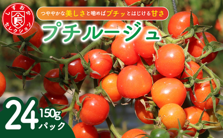 ミニトマト プチルージュ 約3.6kg トマト