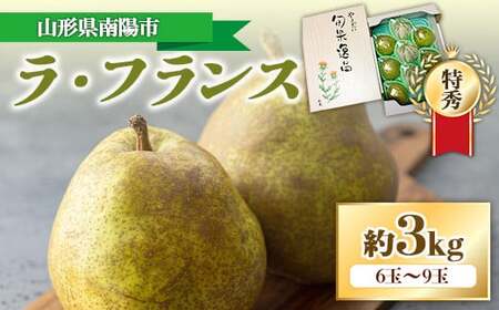 【令和6年産先行予約】ラ・フランス 約3kg (6～9玉 特秀) 《令和6年11月上旬～発送》 『長谷部農園』 洋梨 梨 果物 フルーツ 山形県 南陽市 [1208]