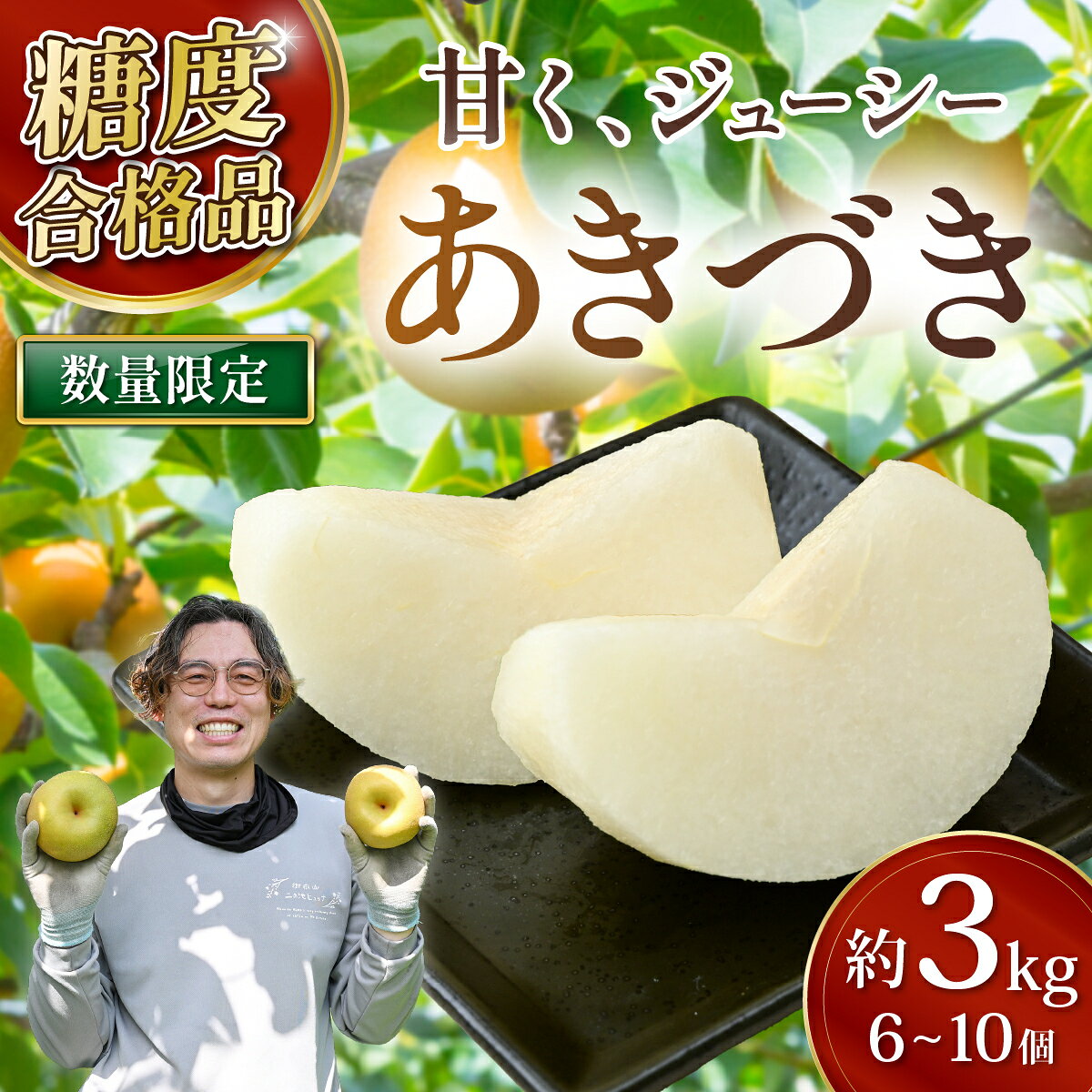 【ふるさと納税】梨 あきづき 約3kg 6玉～10玉 2026年 先行予約 数量限定 | 梨 なし 和なし フルーツ 高級 産地直送 限定品 贈り物 新鮮 お取り寄せ デザート ギフト 甘い 果物 あきづき 梨 果物 和梨 旬 日本の梨 ジューシー 高糖度 大玉 埼玉県 久喜市