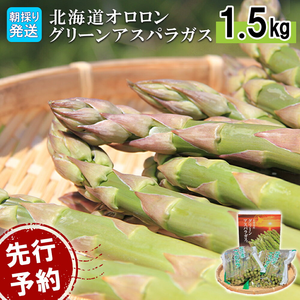 【ふるさと納税】【2026年 先行予約！】【朝採り発送】北海道オロロングリーンアスパラガス 1.5kg（露地物） グリーンアスパラガス アスパラガス アスパラ グリーンアスパラ 1.5kg 朝採れ オロロン 新鮮 野菜 露地 北海道 羽幌町 羽幌 ふるさと納税【0410502】