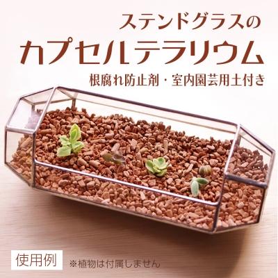 ふるさと納税 牛久市 ステンドグラスのカプセルテラリウム