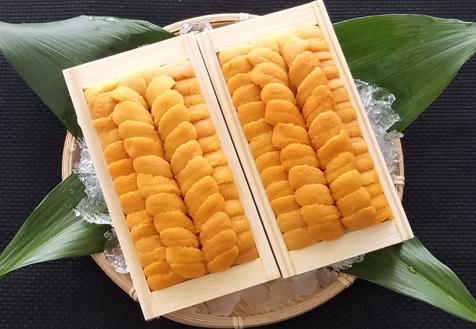 ムラサキウニ140g×2折[7月上旬以降発送] C-40001