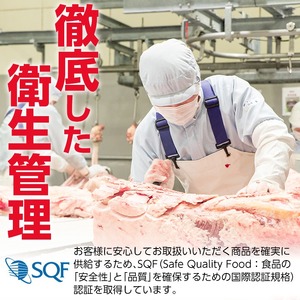 ＜定期便・全6回(偶数月)＞6人家族用！鹿児島県産 黒毛和牛・黒豚 定期便 C (総量約9kg) 国産 黒豚 しゃぶしゃぶ 肩 ロース スライス 訳あり 切り落とし 黒毛和牛 サーロイン ステーキ 黒