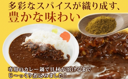 松屋 オリジナルカレーの具 180g 10袋 カレー レトルトカレー 辛口 スパイス カレギュウ レトルト 冷凍 時短 簡単 便利 手抜き レンチン おかず 保存食 備蓄 夜食 まとめ買い お取り寄せ