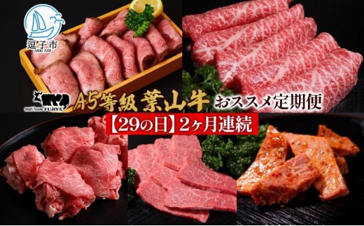 
            【29の日定期便】2ヶ月連続 葉山牛 定期便 カタログ ギフト カルビ切り落し ジューシー 黒毛和牛 霜降り 赤身 肉 焼く 家族 贈り物 受賞 うし 和牛 冷凍 良質 冷凍便 送料無料 冨士屋牛肉店 神奈川県 逗子市 [№5875-0848]
          