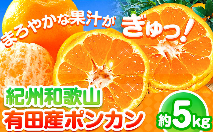 
【先行予約】紀州和歌山有田産ポンカン5kg 株式会社魚鶴商店《2025年2月上旬-2月末頃出荷》和歌山県 日高町 ぽんかん フルーツ 柑橘
