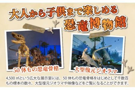 福井県立恐竜博物館 常設展観覧券 (一般 1名様と小・中学生 1名様) [A-048009]