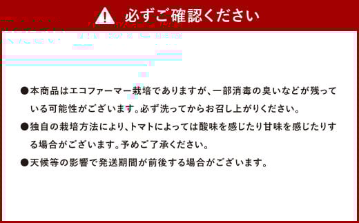 【年3回定期便/2026年1月発送開始】 ソムリエ ミニ トマト ダイヤ 3kg×3回 合計9kg とまと トマト 野菜 やさい 熊本県産 国産