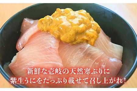 生うに・寒ぶり丼の素セット [JAO014]  のし プレゼント ギフト 冷凍配送 九州