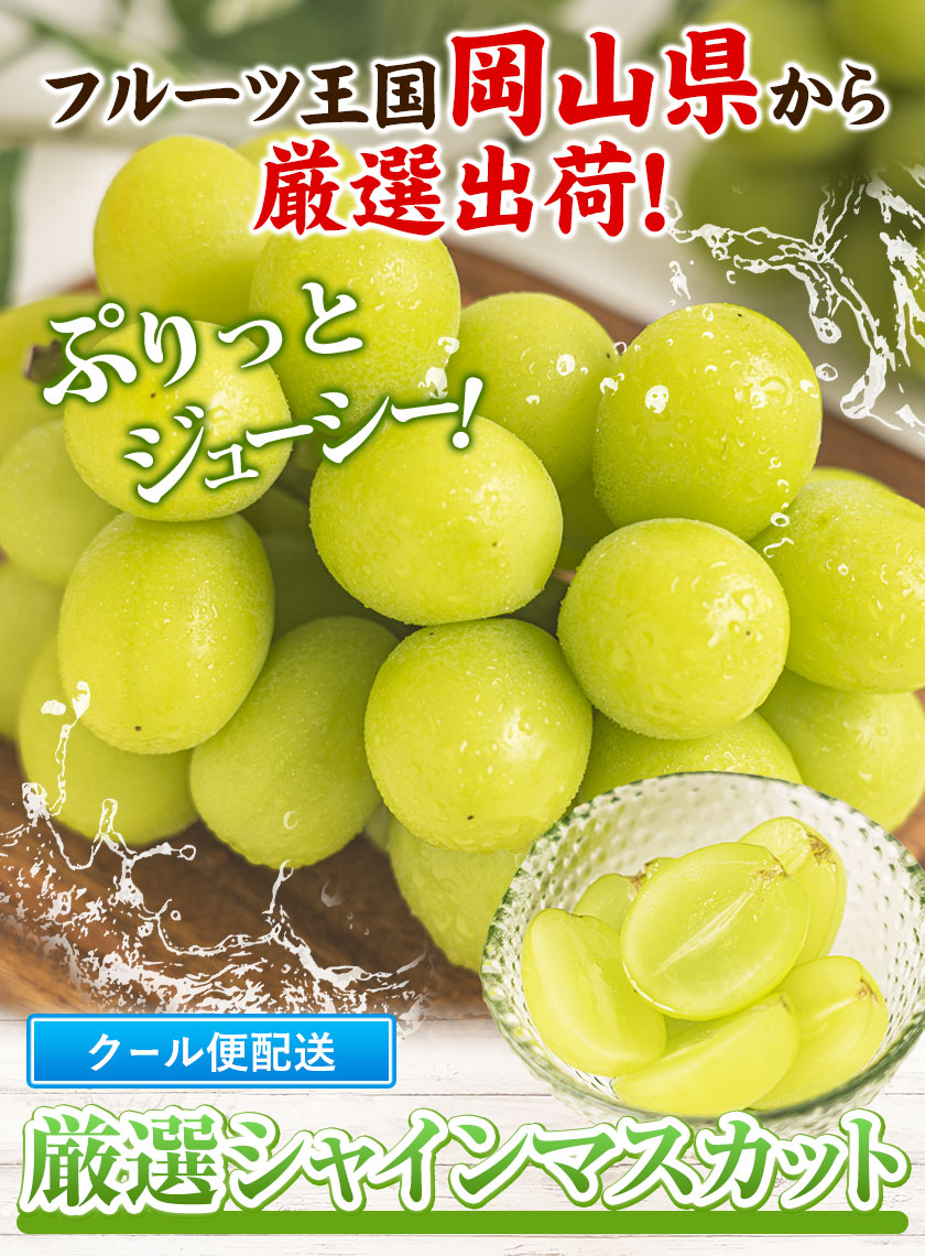シャインマスカット 約2kg (3-4房入) 《2026年9月上旬-11月中旬頃出荷》ぶどう ブドウ 葡萄 マスカット 果物 フルーツ ギフト 岡山県 笠岡市 フルーツ マスカット---kasaoka_zsy_419_2000---