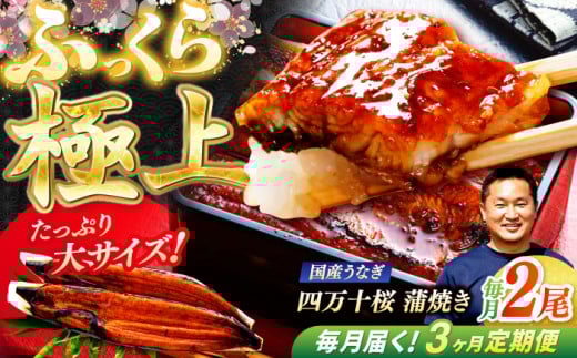 【3回定期便】極上国産うなぎ四万十桜 蒲焼き2尾 たっぷり大サイズ / 国産 高知 四万十 うなぎ ウナギ 鰻 蒲焼き うな重 惣菜 贅沢 【有限会社もりた】 [ATHE005]