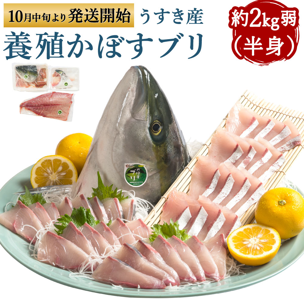 【ふるさと納税】養殖 かぼすブリ 半身 約2kg弱（半身） アラ カマ かぼす カボス ブリ ぶり 鰤 魚介類 魚貝類 魚 冷蔵発送 真空パック 旬 臼杵産 九州産 国産 送料無料