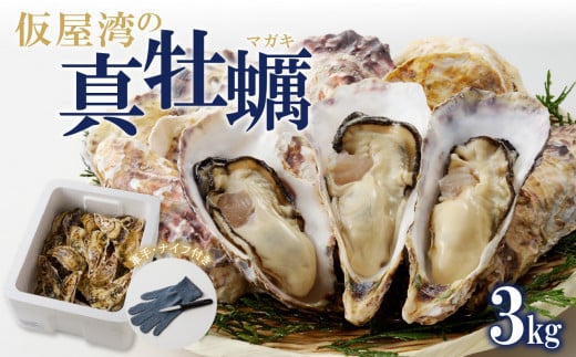 【3月配送】仮屋湾の真牡蠣（3kg）【殻付き】