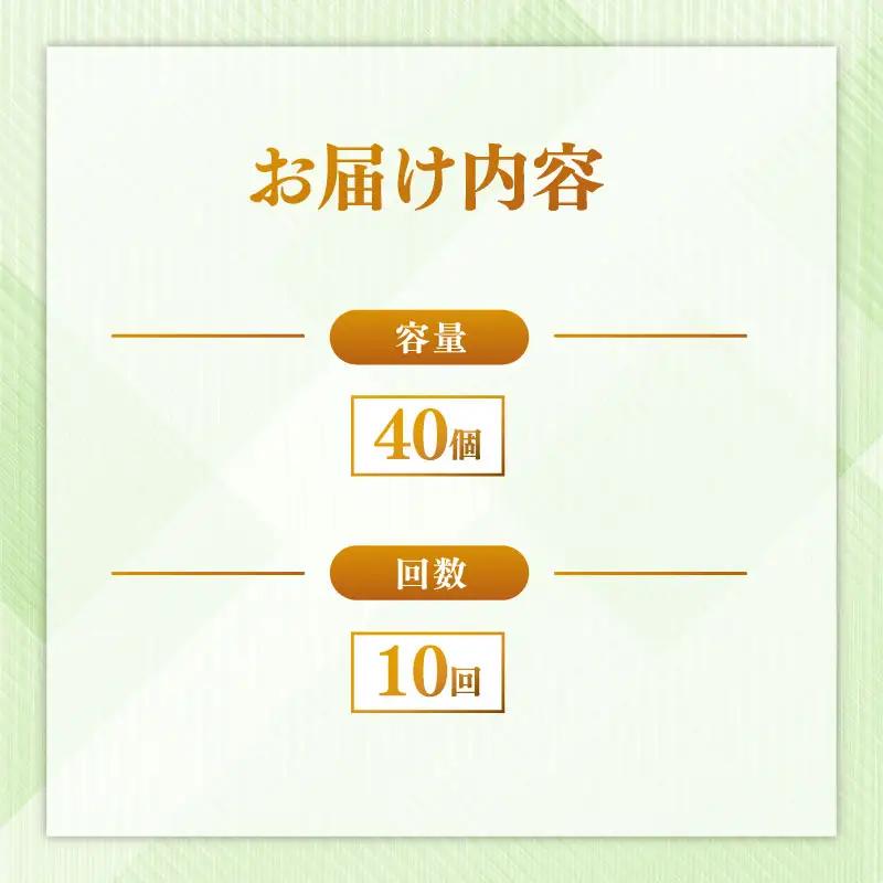 定期便 パックごはん 白米 40個×10回
